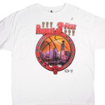 VINTAGE DEASTOCK NBA CHICAGO BULLS 1998 CHAMPIONS TEE SHIRT SIZE 2XL