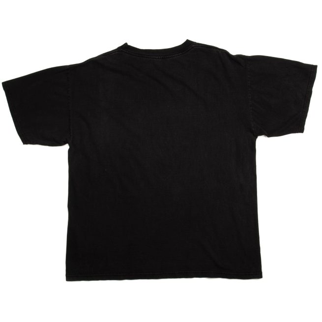 VINTAGE NBA CHICAGO BULLS CHAMPIONS TEE SHIRT 1996 SIZE LARGE